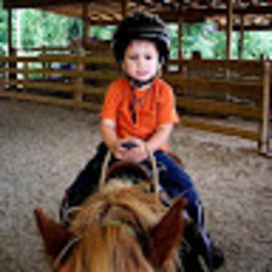 Meet your Posher, Simon